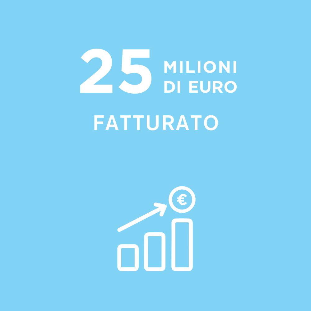 HighLights_024_ITA_Fatturato