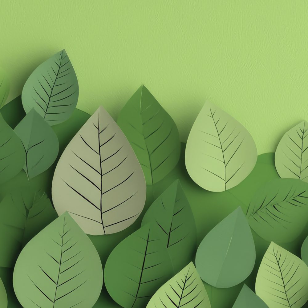 HighLights_024_ITA_Green